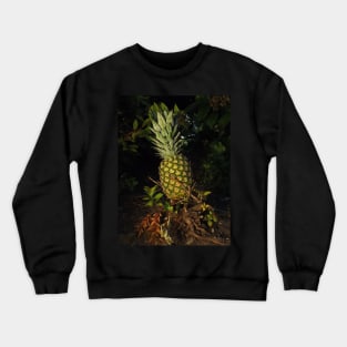 Pretty Plump Pineapple Pin, Mask, Tote Crewneck Sweatshirt